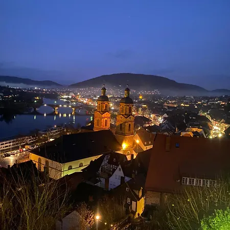 Mauersegler * Miltenberg