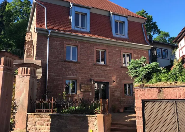 Mauersegler * Miltenberg